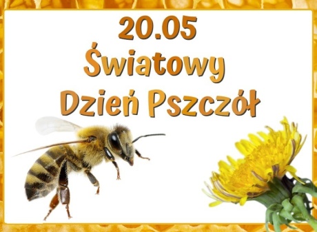 Powiększ obraz: Światowy Dzień Pszczół